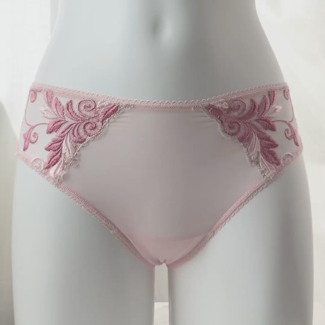 Vanishing Edge Sensuous Lace Hipster Panty