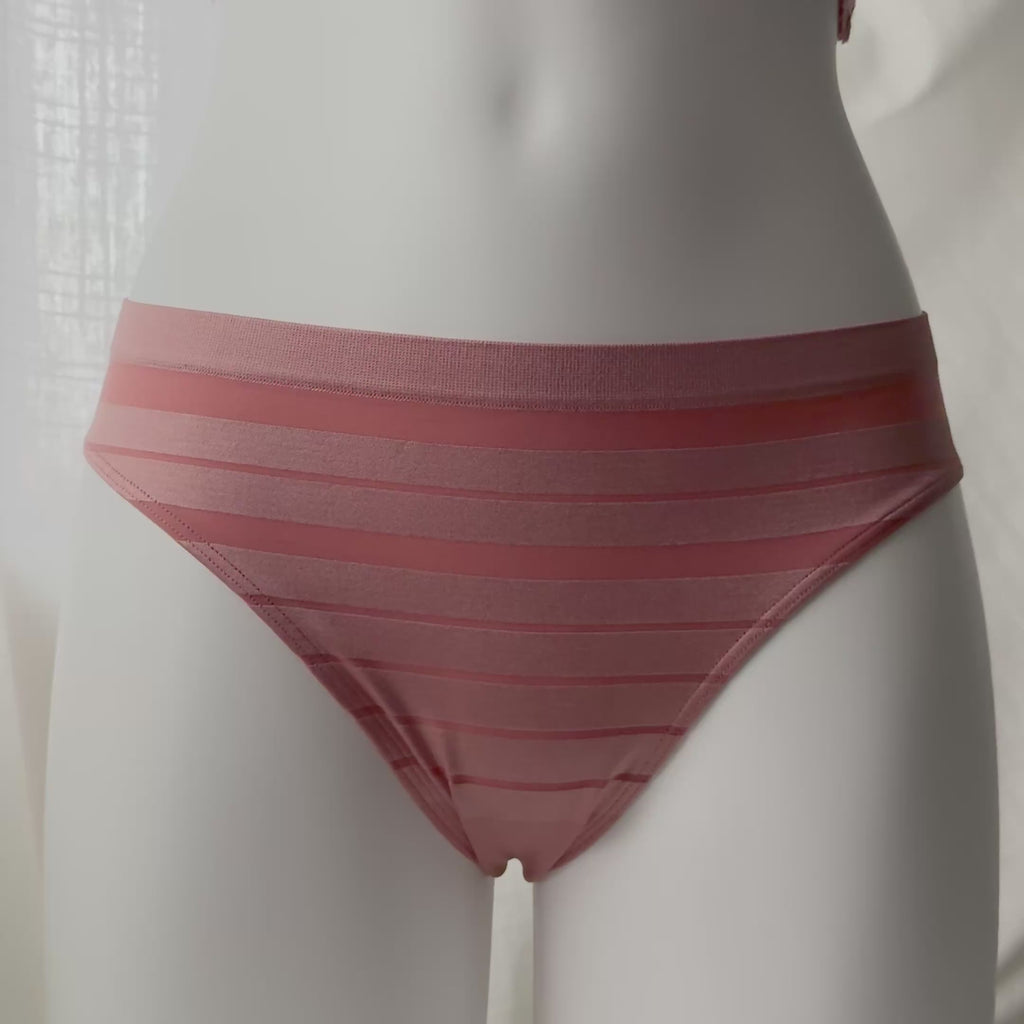 Seamless Sheer Stripe Bikini Panty