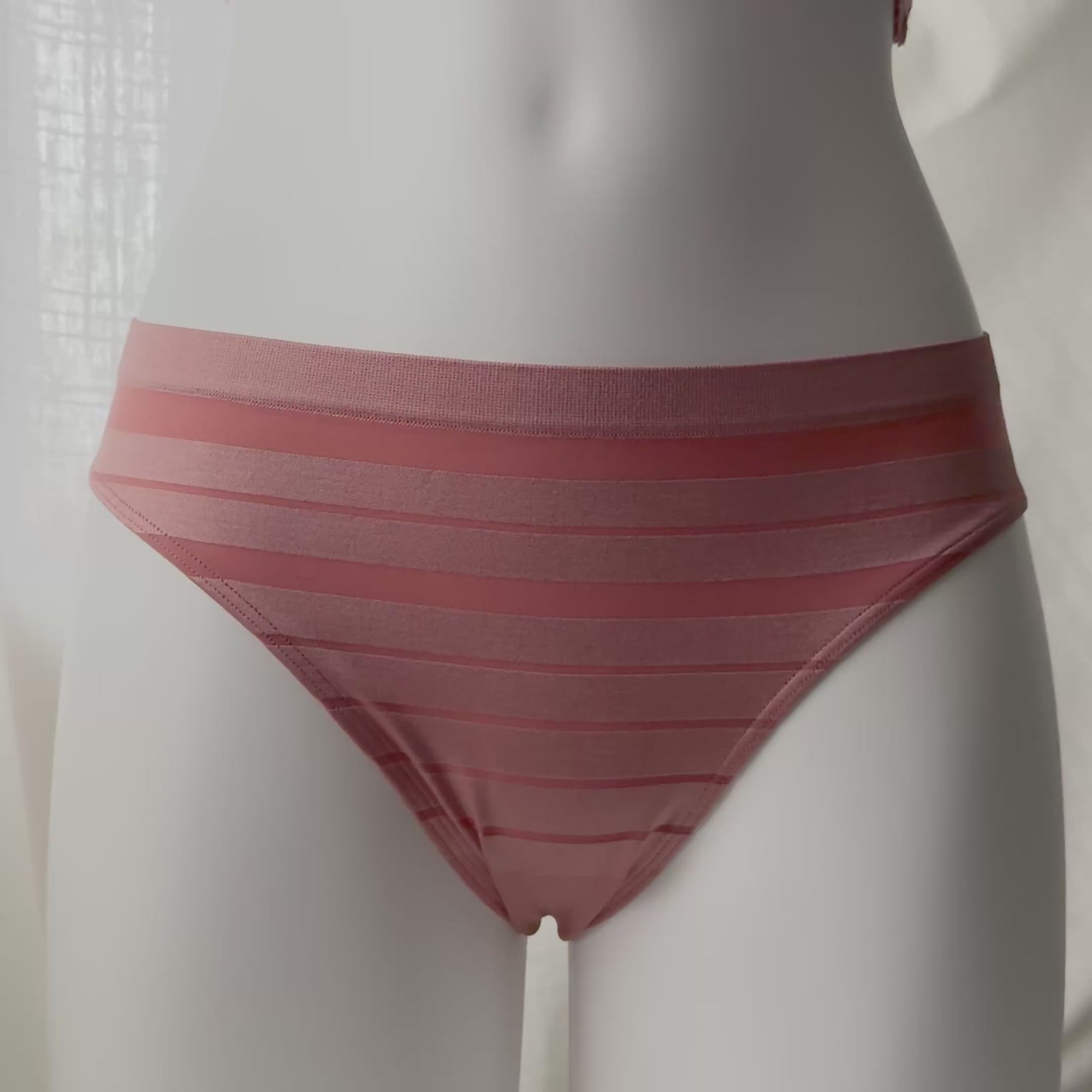 Seamless Sheer Stripe Bikini Panty