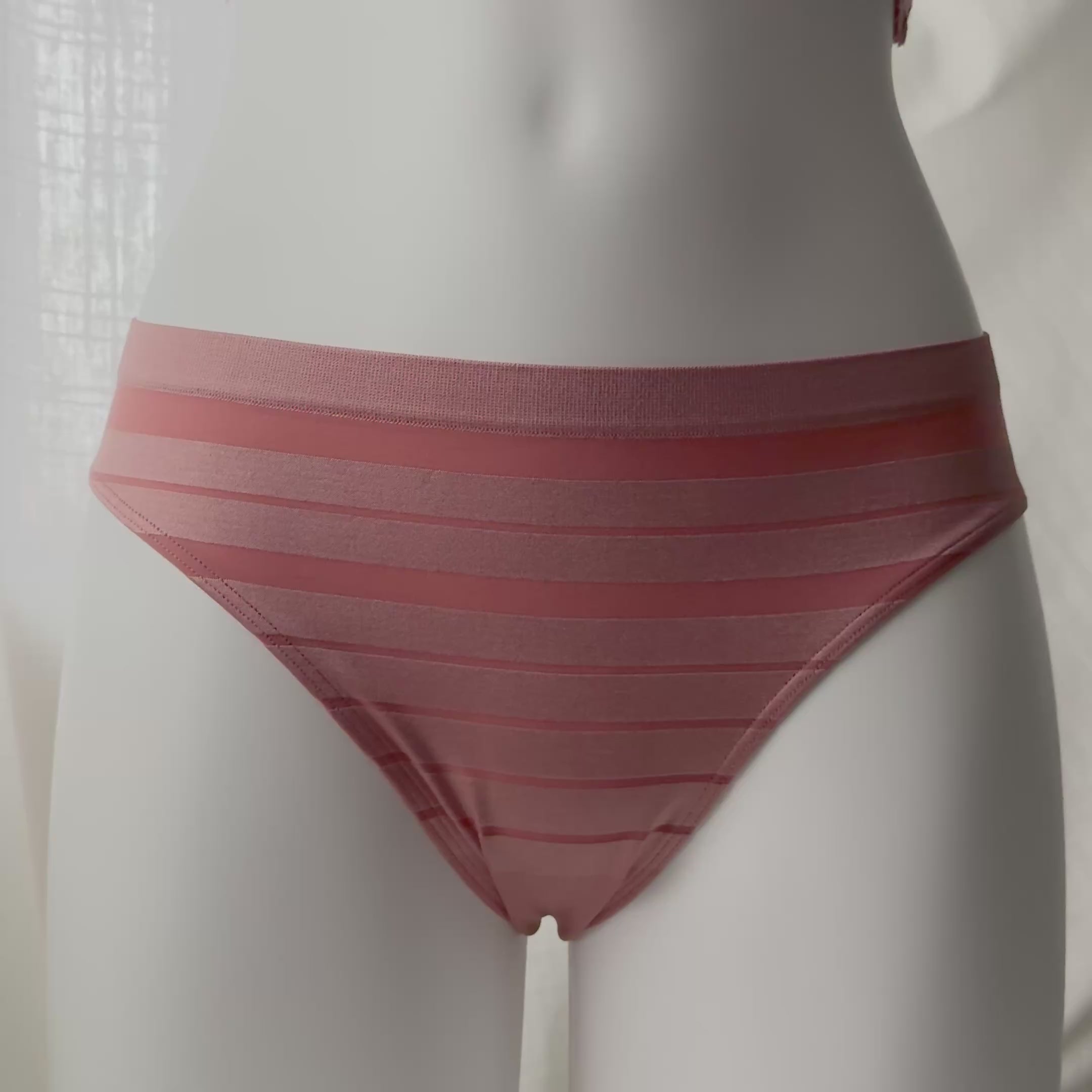 Seamless Sheer Stripe Bikini Panty